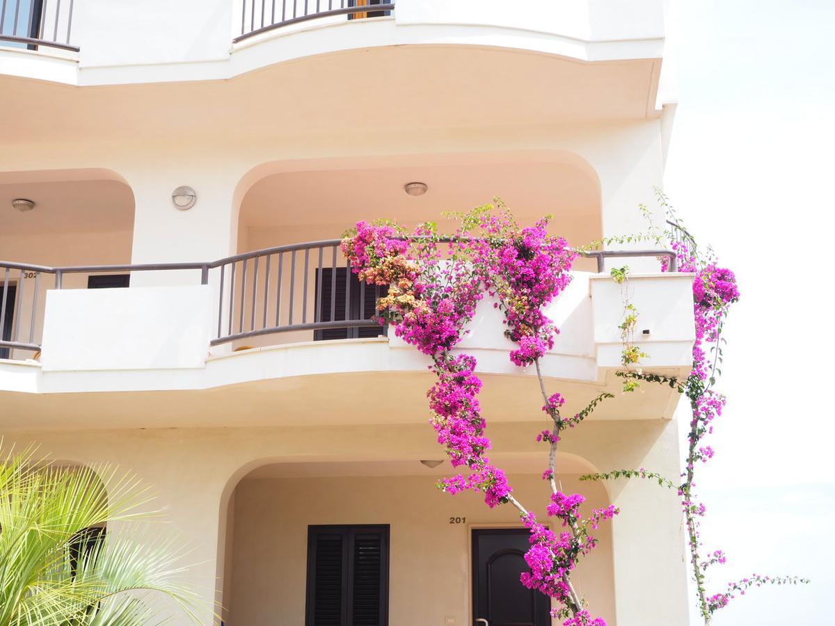 Oasiclub Hotel Βιέστε Εξωτερικό φωτογραφία